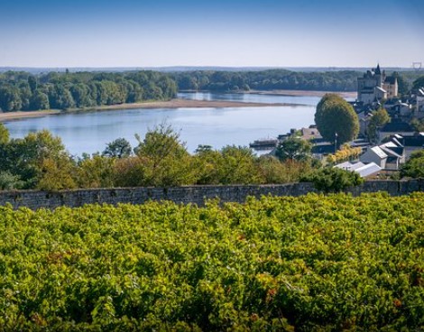 Domaine La Perruche
