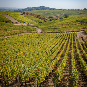 Château de Sancerre