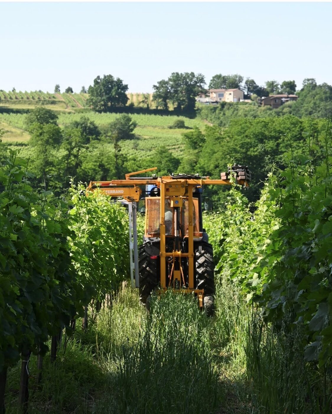 Our First Estate Partner: Château Toulouse-Lautrec