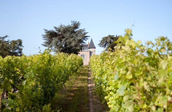 Domaine des Hardières