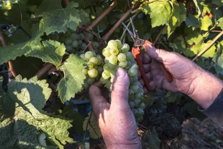 Domaine des Hardières