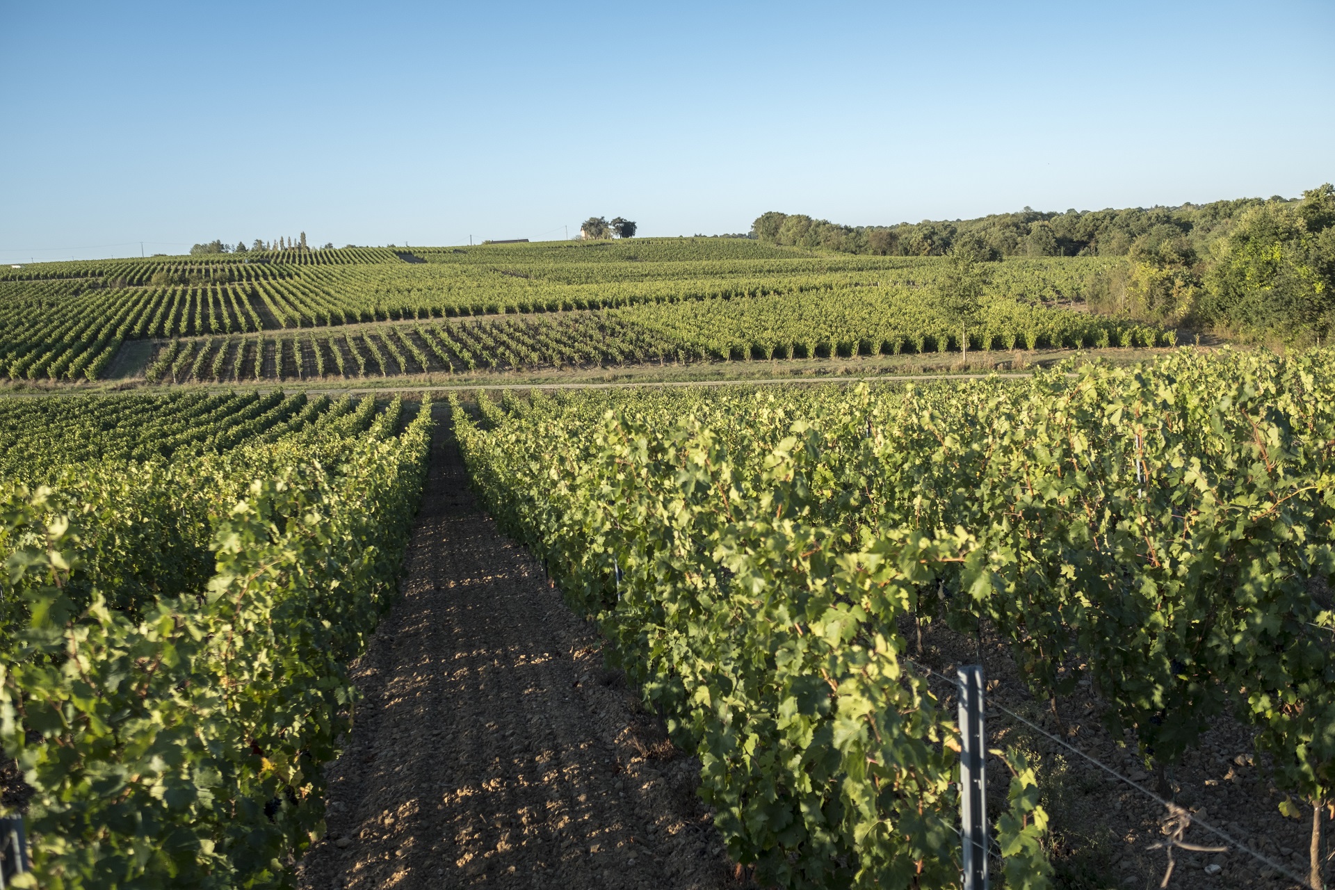Domaine des Hardières